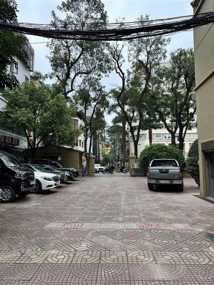 Biệt thự cao cấp ba đình, ô tô tránh đỗ ngày đêm, 5t 122m2 mt8.1m 71 tỷ
