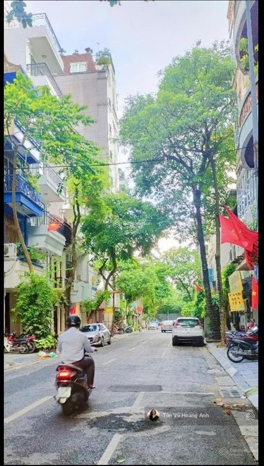 Mặt phố lê ngọc hân, 53m² mt4.5m 5t 42 tỷ
