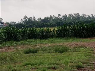 Bán nền mt 10x14.3 giá 1,9 tỷ, 143m2 tại 944, an thạnh trung, chợ mới, ag.  0907 268 *** bích trâm