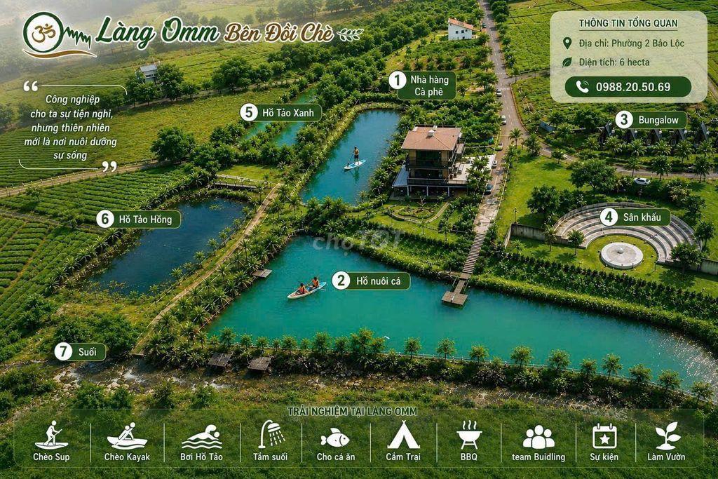 Bán đất nghĩ dưỡng tại Đồi Chè Bảo Lộc, Lâm Đồng