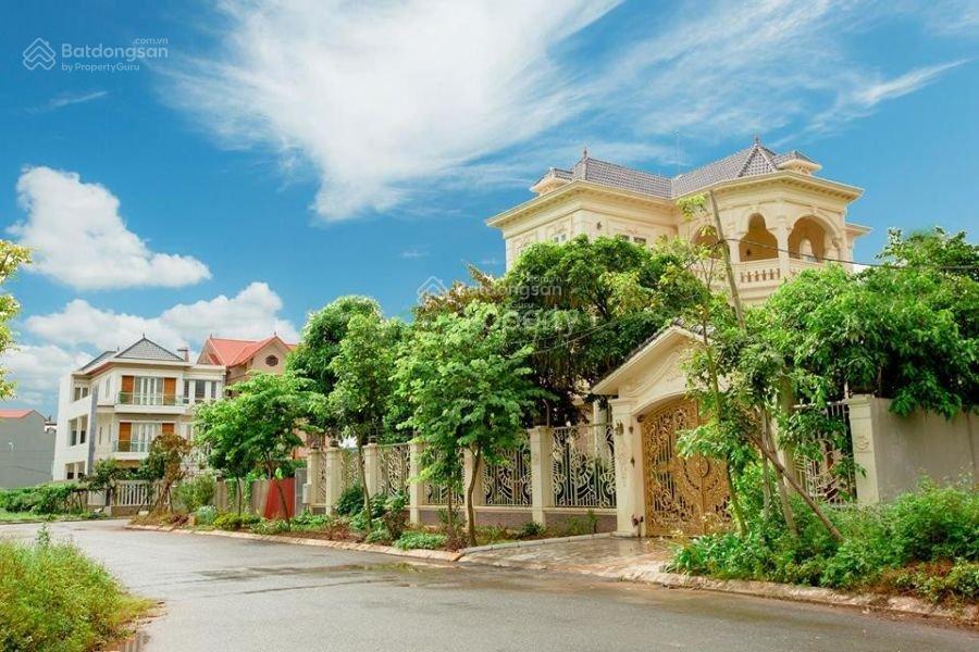 Bán shophouse dự án new city phố nối trung tâm yên mỹ hưng yên