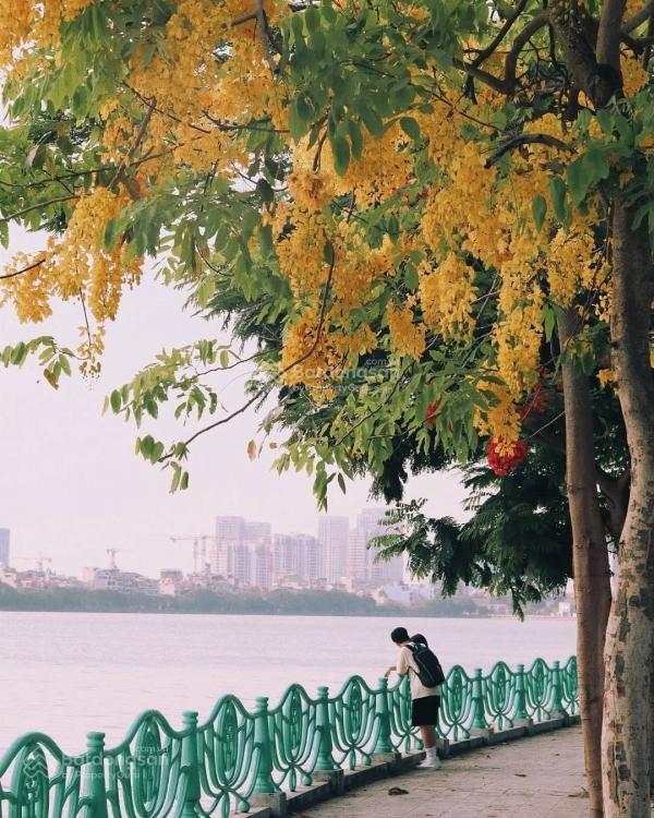 Bán lô đất 200m ra mặt hồ tây, ngõ thông, oto vào nhà. dt 120m2 ngõ thông, mặt 5.6m, nở hậu.