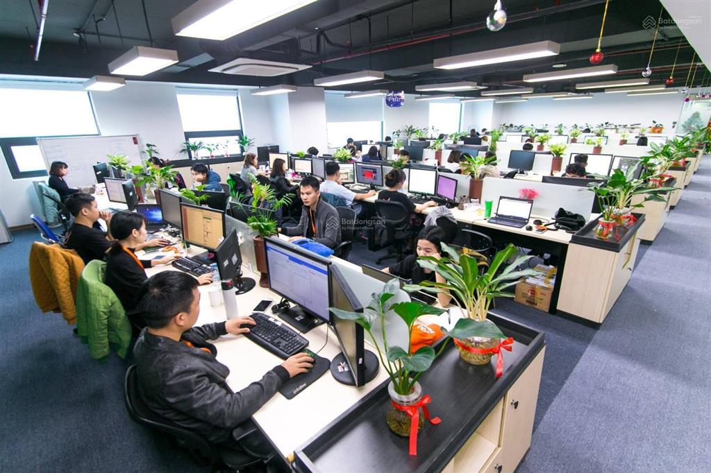 Cho thuê văn phòng nguyễn khánh toàn 200m 42 triệu/tháng