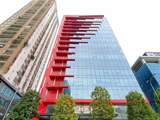Cho thuê văn phòng richy mạc thái tổ 500m2 cắt từ 90m2 300k/m2/tháng