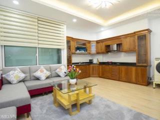 Hàng hiếm phan kế bính  lô góc mặt tiền khủng 9m