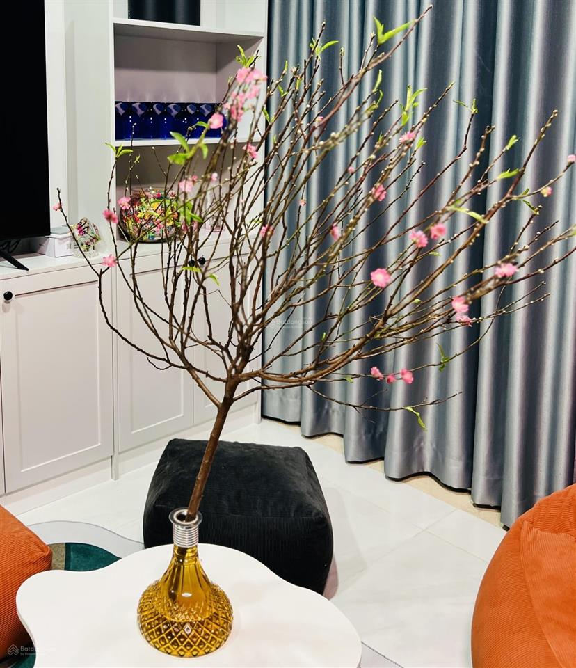 Cho thuê cc the everrich infinity, 30 triệu vnd, 112m2, 3pn, 2wc, view đẹp, nhiều tiện ích