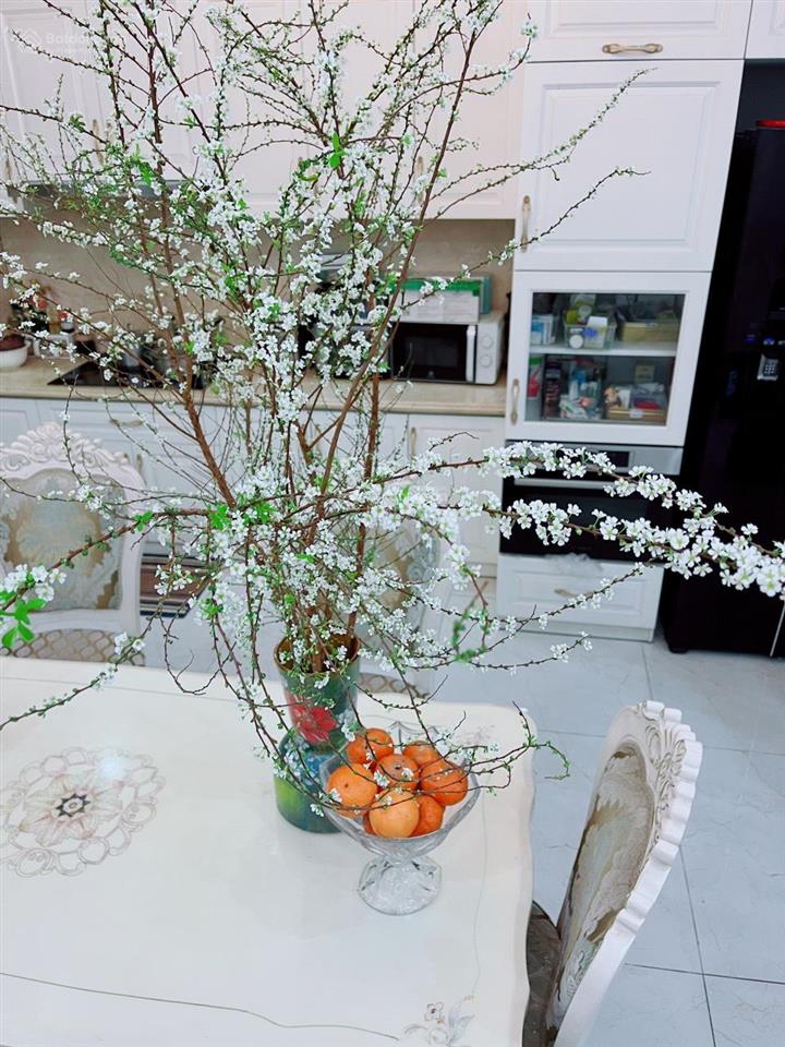 Rẻ tuyệt đối  lk an hưng  nội thất tiền tỷ