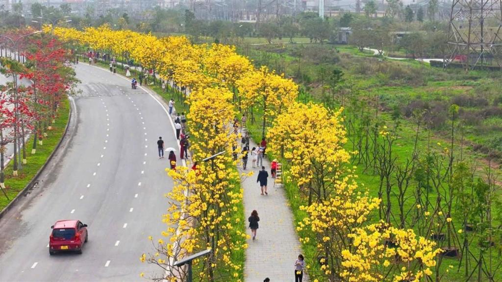 14.2 tỷ  5 tầng  mt 5m  đối diện kđt park city  phân lô vỉa hè 3 ô tô tránh dân xây chả lỗi g