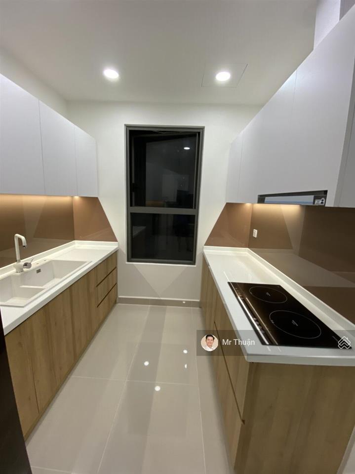 Cho thuê cc the sun avenue, 23 triệu vnd, 96m2, 3pn, 2wc, đầy đủ