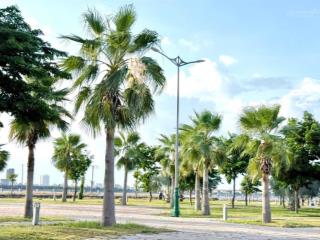 ** hot* cắt lỗ 1 tỷ*  bán lô 350m2 2 mặt tiền bt bà điều giá chỉ 8,2tỷ( r = 25m)