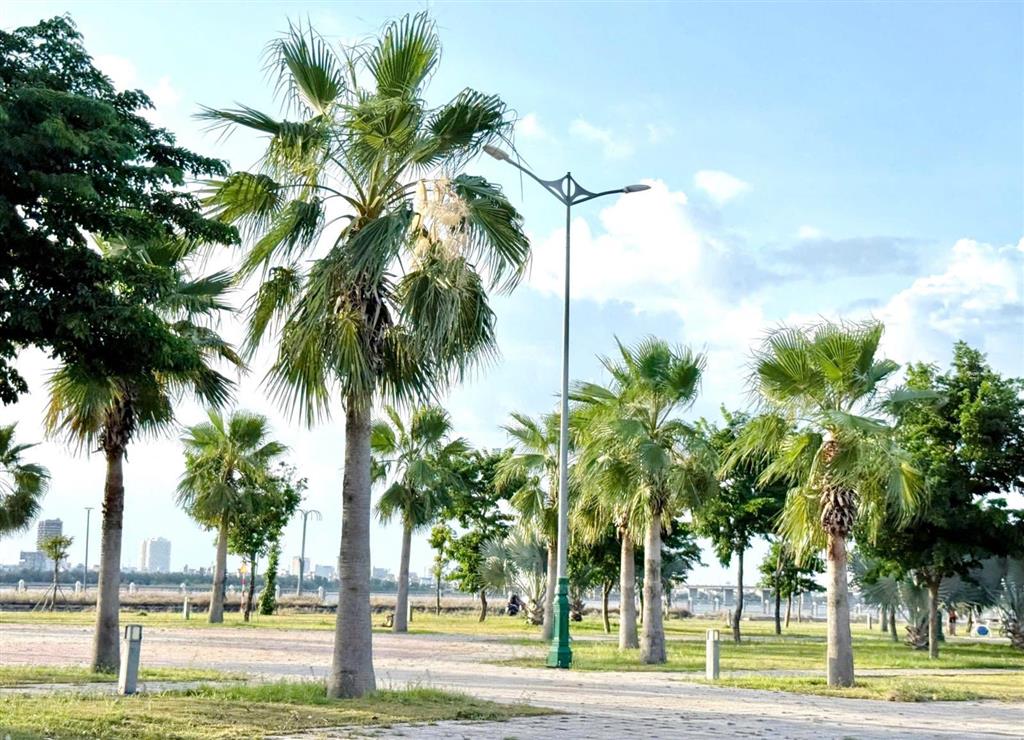 Hot! sập hầm 395m² đất với biệt thự bà điều * giá cắt lỗ nặng 7,9 tỷ (r=25m)