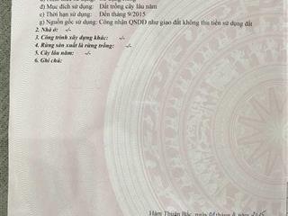 Bán đất vườn diện tích lớn, đất cln quy hoạch ont, vị trí đẹp gần mũi né, phan thiết, tỉnh lâm đồng