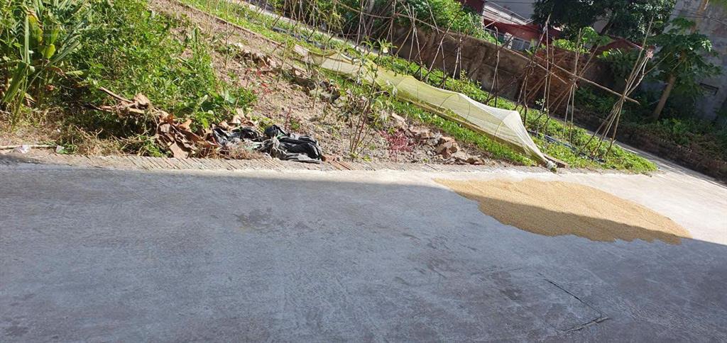 Chính chủ, bán 80 mét 2 đất ở, giá  đồng