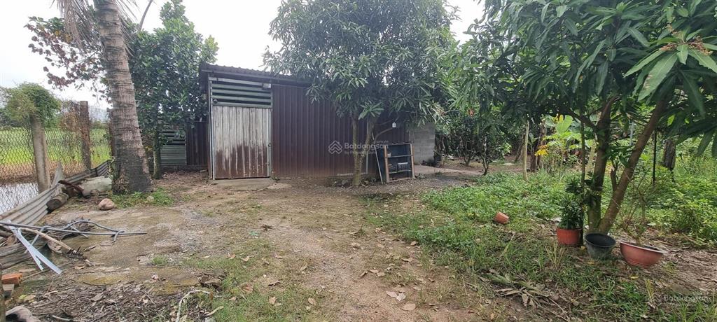 Cho thuê nhà vườn có kho xưởng nhỏ xã tân thạnh đông, tp. hcm. phù hợp ở sản xuất nhỏ, nhiều nghề