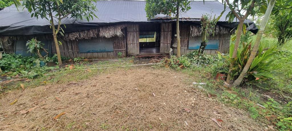 Cho thuê nhà vườn có kho xưởng nhỏ xã tân thạnh đông, tp. hcm. phù hợp ở sản xuất nhỏ, nhiều nghề