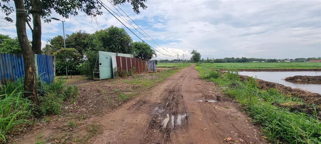 Cho thuê nhà vườn có kho xưởng nhỏ xã tân thạnh đông, tp. hcm. phù hợp ở sản xuất nhỏ, nhiều nghề