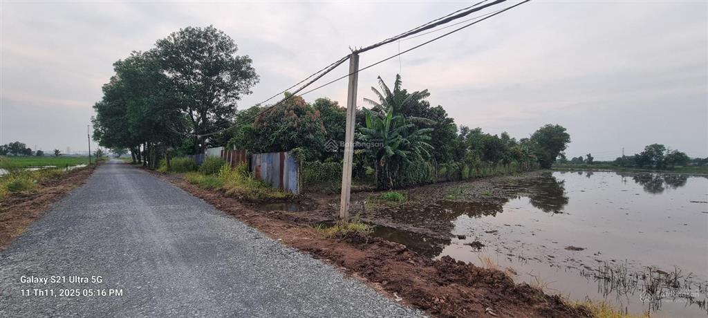 Bán đất 4.300m2 đã tách 6 sổ riêng vị trí vàng khu tây bắc tp. hcm vị trí đường đá 6m