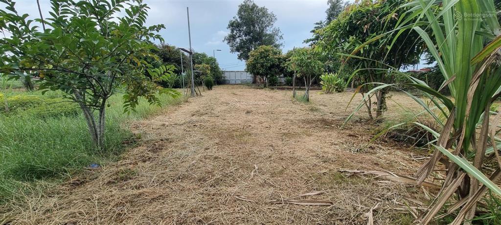 Bán đất 4.300m2 đã tách 6 sổ riêng vị trí vàng khu tây bắc tp. hcm vị trí đường đá 6m