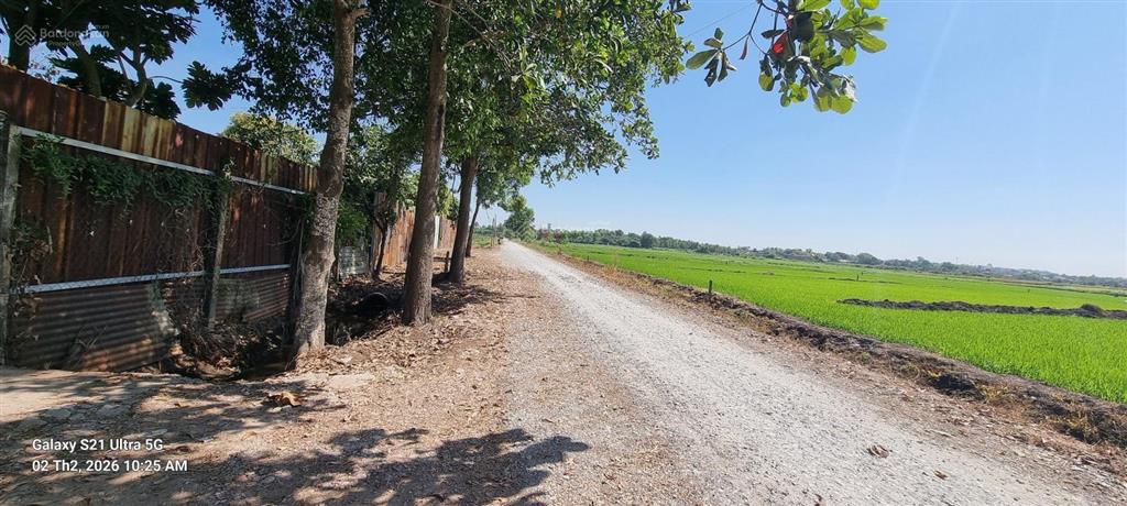 Bán đất 4.300m2 đã tách 6 sổ riêng vị trí vàng khu tây bắc tp. hcm vị trí đường đá 6m