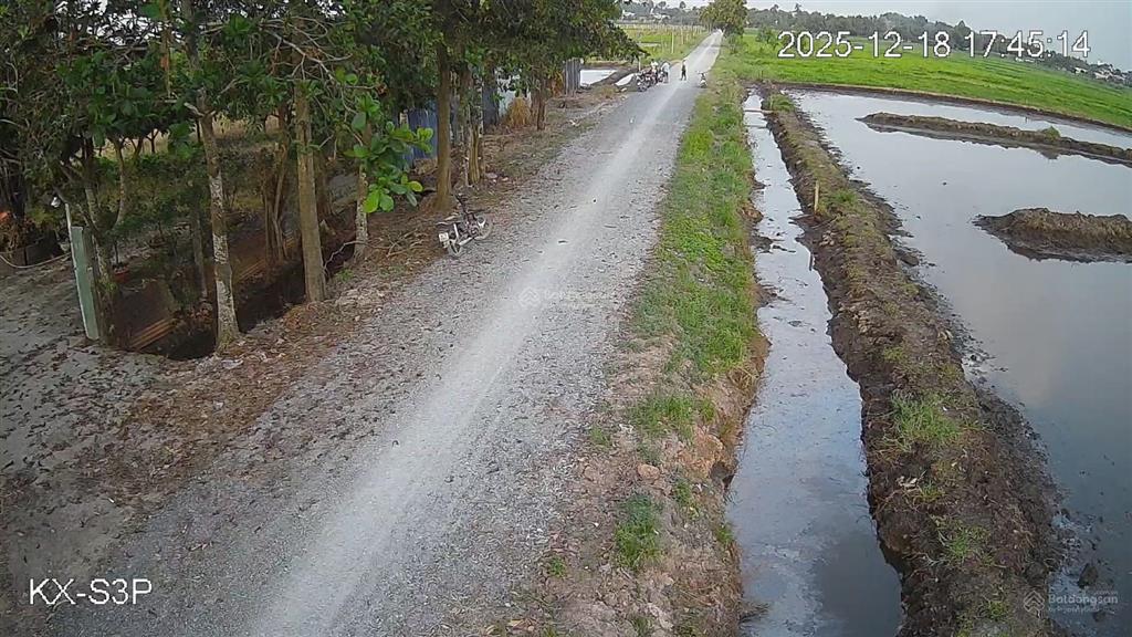 Bán đất 4.300m2 đã tách 6 sổ riêng vị trí vàng khu tây bắc tp. hcm vị trí đường đá 6m
