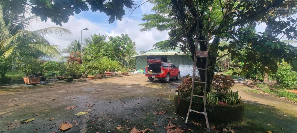 Cần bán nhà xưởng xã phú hòa đông (trước đây là xã tân thạnh đông), tp. hcm