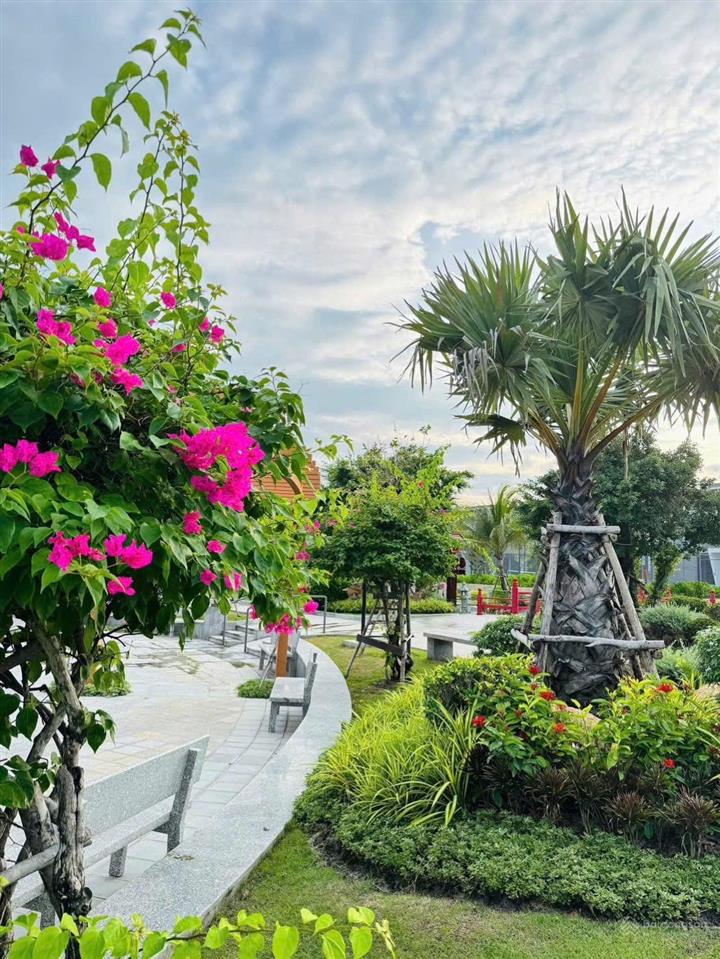 Chính chủ bán nhà phố sd 236,7m2  ngay đại công viên khu parasol  caraworld 4.75 tỷ  sổ hồng sẵn