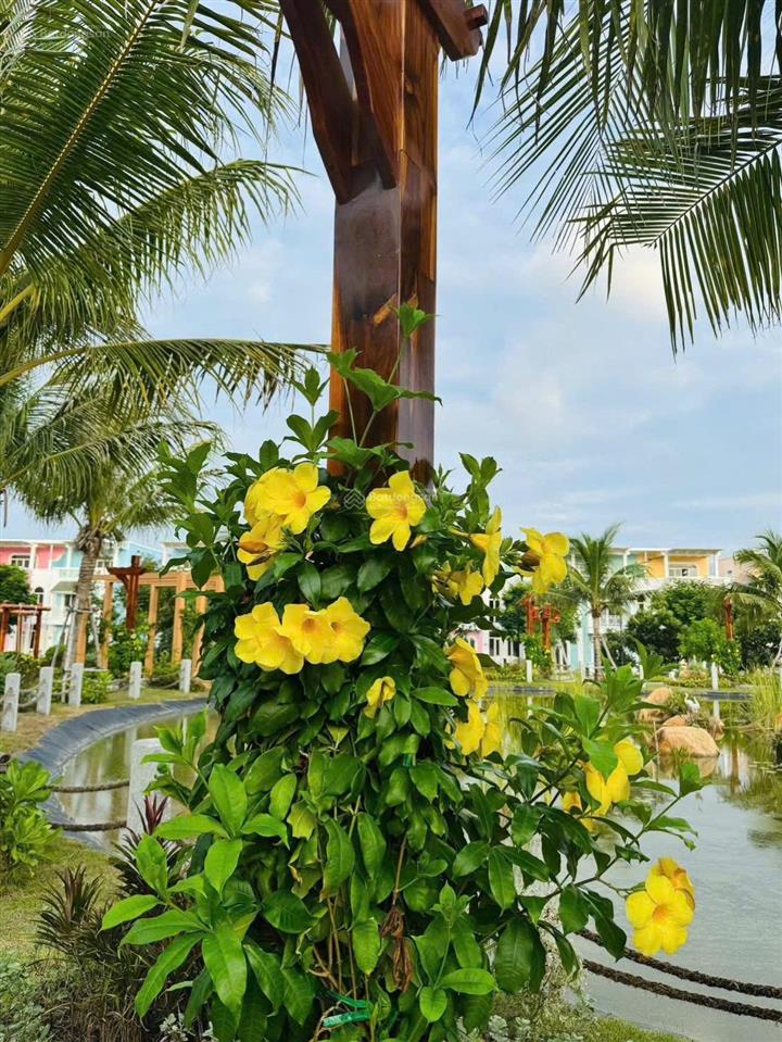 Chính chủ bán nhà phố sd 236,7m2  ngay đại công viên khu parasol  caraworld 4.75 tỷ  sổ hồng sẵn