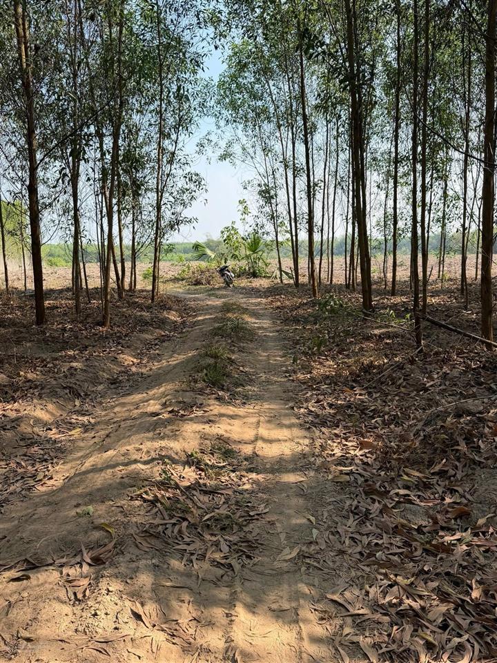 Bán đất mẫu 67.000 m2 tại xã xuân hoà, tp. đồng nai, giá 10,05 tỷ, giá siêu rẻ, cách ql1a tầm 3km