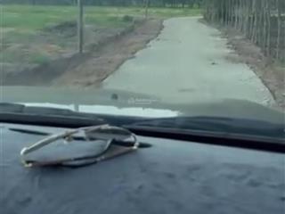 Bán 2.9ha xuân hoà, đường bê tông, sát bên kdc, gần ql1a, có 300m2 thổ cư, mặt tiền nhiều, giá rẻ