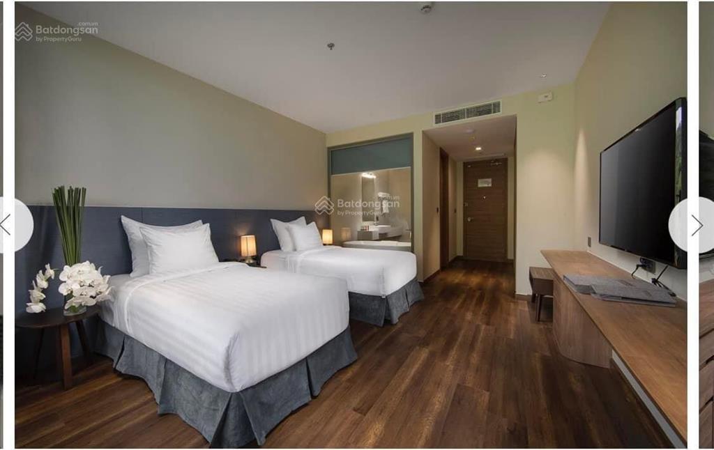 Cc cắt lỗ nhanh 1,59 tỉ căn hộ flamingo cát bà view trực diện biển, siêu đẹp, sẵn sổ bao phí