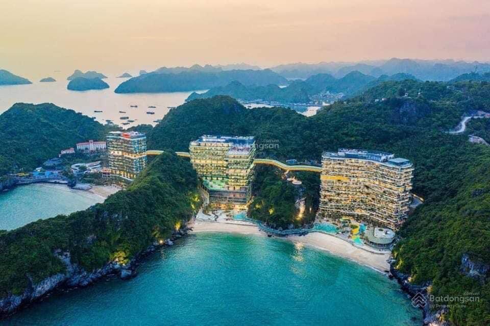 Cc cắt lỗ sâu căn hộ view biển flamingo cat ba beach resort, 2 tỷ bao phi
