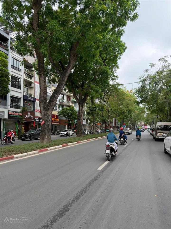 Bán nhà mặt phố siêu vip lê hồng phong  ba đình, 105m2, mặt tiền 6.5m chỉ 100 tỷ