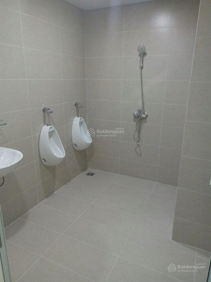 Chính chủ cho thuê văn phòng dt 210m2