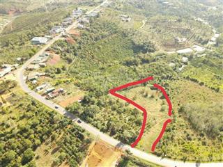 Bán 8 sào trồng cà phê và sầu riêng ôm ql28