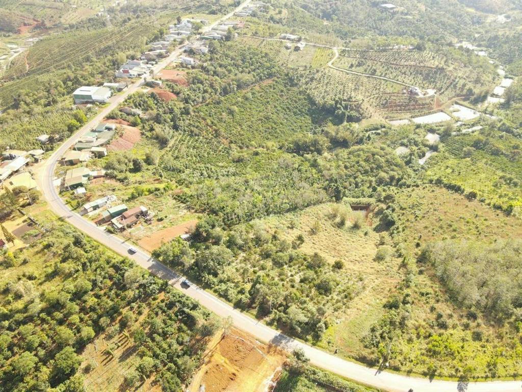 Bán 8 sào trồng cà phê và sầu riêng ôm ql28