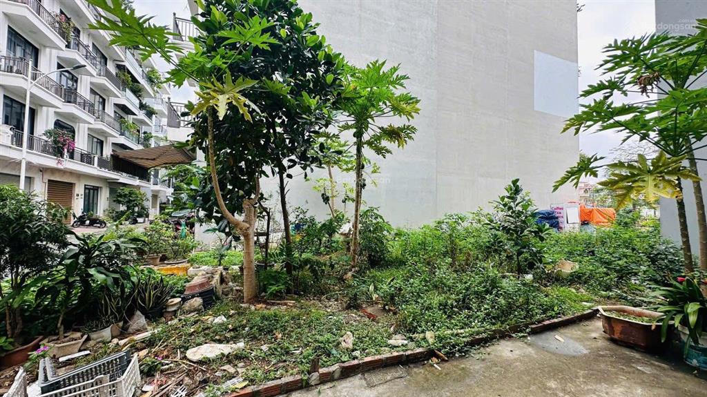 Siêu phẩm 3 lô liền kề mặt đường thế lữ ngang 8.4m cực đẹp