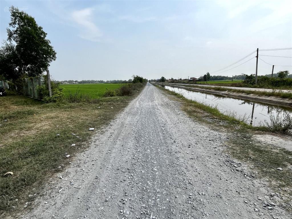 Đất vườn hiệp hoà, đức hoà, tổng dt 6500m2, có 300m2 thổ cư, giá 5.5 tỷ (tl nhẹ), đường 5m thông