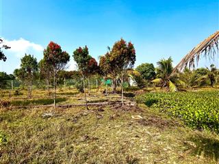 Bán gấp lô đất vườn dt 6500m2, có 300m2 đất ont, giá 5.5 tỷ ( bớt lộc), xã hiệp hoà, đức hoà