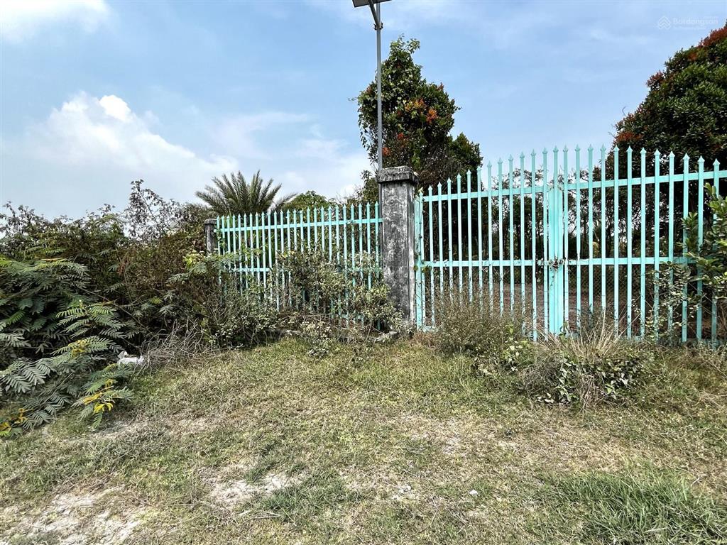 Đất vườn hiệp hoà, đức hoà, tổng dt 6500m2, có 300m2 thổ cư, giá 5.5 tỷ (tl nhẹ), đường 5m thông