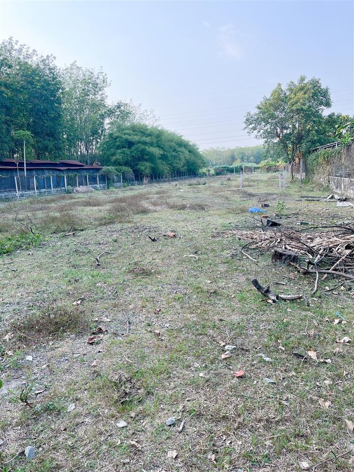 Bán gấp lô đất đường 502 (gần nguyễn thị nê), tổng dt 2550m2, giá 12.5 tỷ (thương lượng)