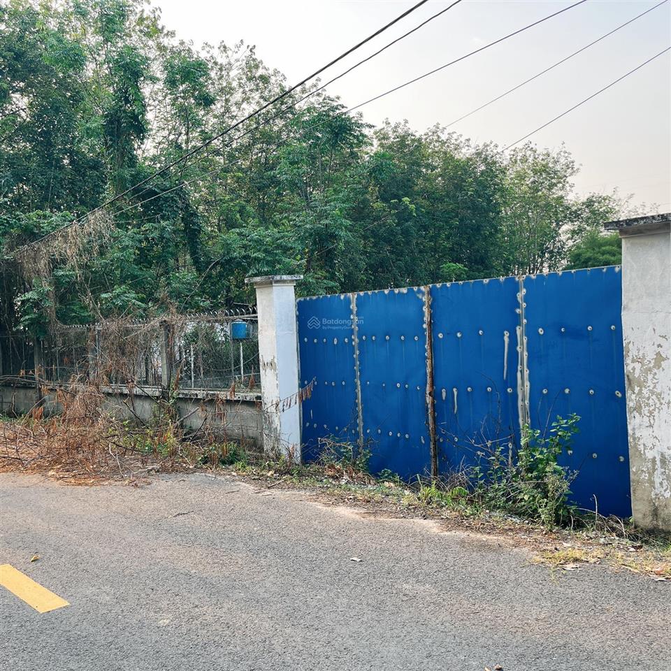 Bán gấp lô đất đường 502 (gần nguyễn thị nê), tổng dt 2550m2, giá 12.5 tỷ (thương lượng)