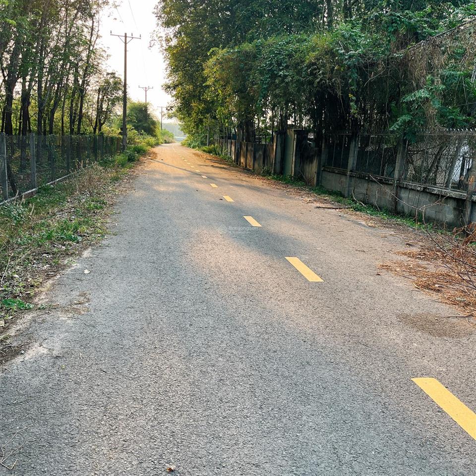 Bán gấp lô đất đường 502 (gần nguyễn thị nê), tổng dt 2550m2, giá 12.5 tỷ (thương lượng)