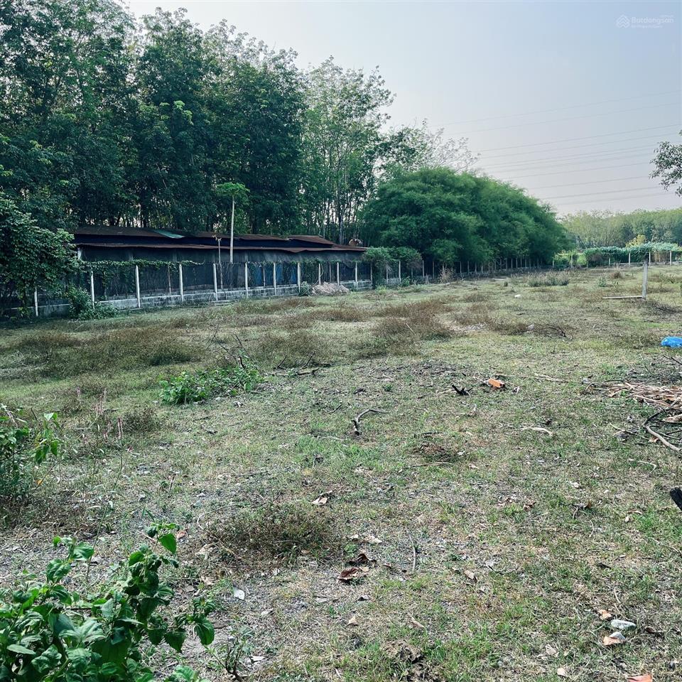 Bán gấp lô đất đường 502 (gần nguyễn thị nê), tổng dt 2550m2, giá 12.5 tỷ (thương lượng)