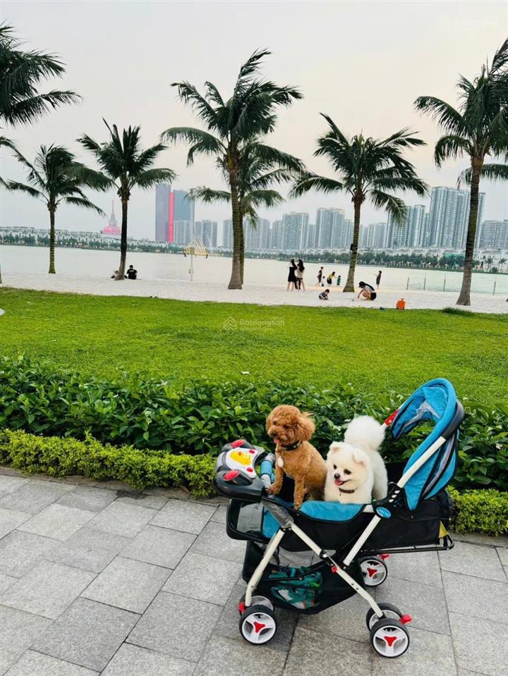 Chính chủ tôi cần bán căn biệt thự vinhomes ocean park gia lâm, hải âu1,dt 155 m2, mt 7,5 m, 4,5 t