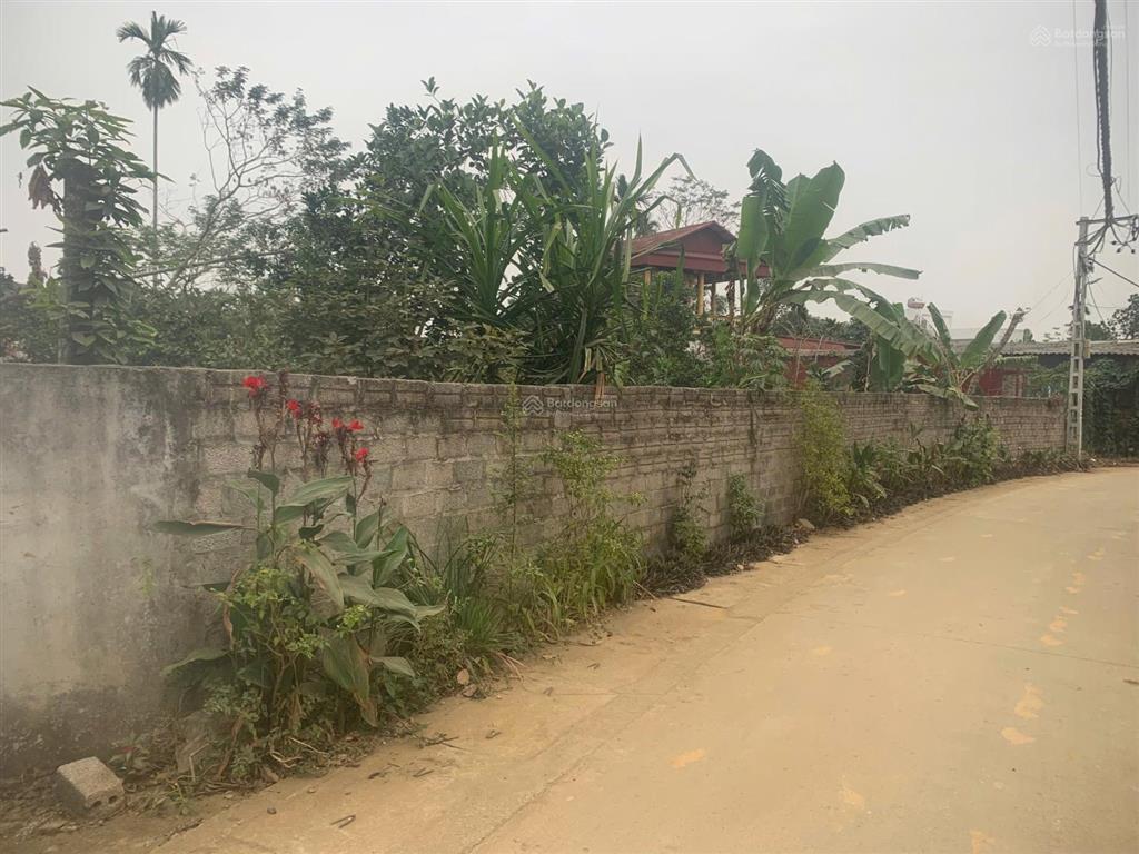 Chính chủ cần bán mảnh đất 500m2