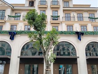 Cho thuê shophouse malibu nằm trong nội khu 60 tòa chung cư. vị trí kinh doanh vip nhất vin ocp