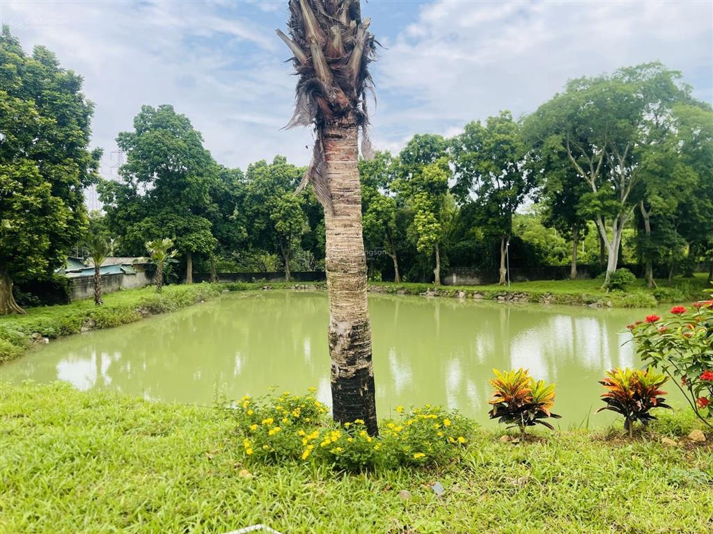Cần bán gấp lô đất trong lõi kđt vệ tinh hoà lạc  sẵn sổ  full thổ cư