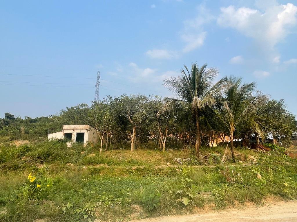 Cần Bán Lô Đất Vườn Diên Khánh 3.300m2