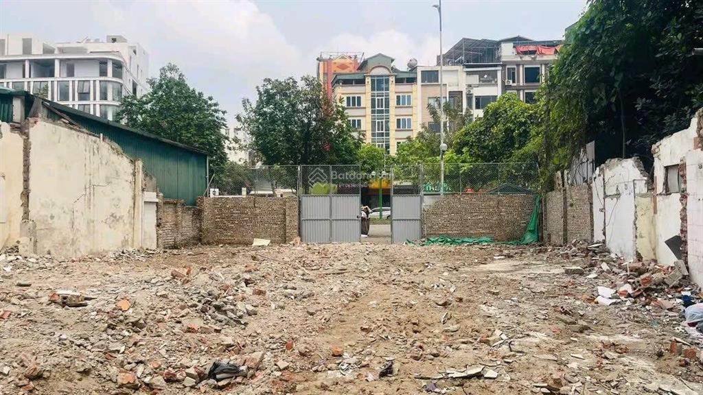 Đất chia lô. xây biệt thự, tòa văn phòng. kho xưởng 310m2 mặt tiền 40m full thổ cư giá hơn 100tr/m2