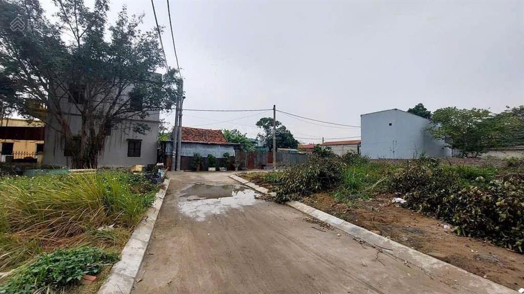 Hàng hiếm khu đấu giá siêu quần ô tô tránh đất nở hậu giá đầu tư